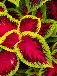 Similar image 22225365