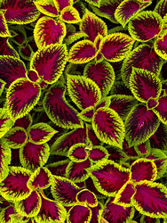 Similar image 22225366