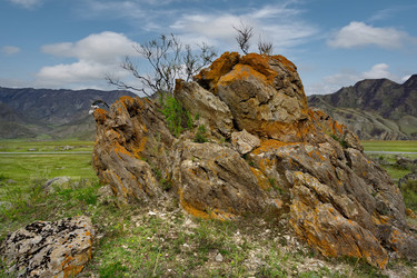 Similar image 22225368