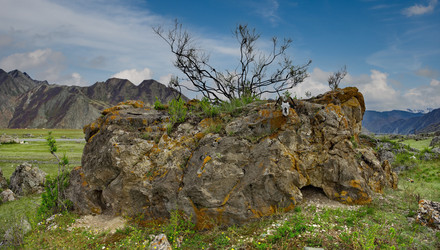 Similar image 22225369