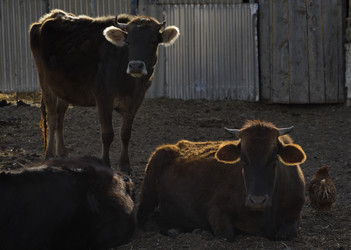 Similar image 22228234