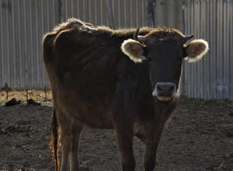 Similar image 22228235