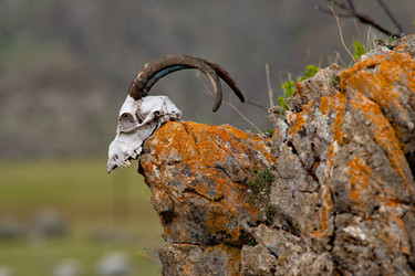 Similar image 22225371