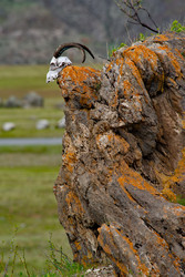 Similar image 22225372