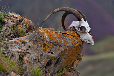 Similar image 22225373