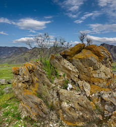 Similar image 22225374