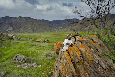 Similar image 22225375