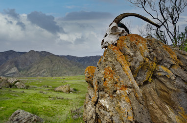 Similar image 22225376