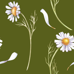 Similar image 22227148