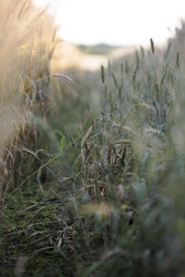 Similar image 22225377