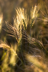 Similar image 22225378