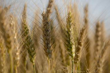 Similar image 22225380