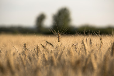 Similar image 22225381