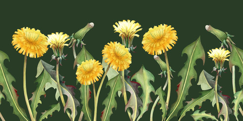 Similar image 22227323