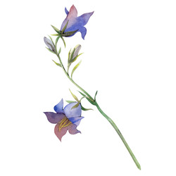 Similar image 22227335