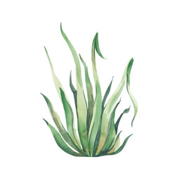 Similar image 22227339