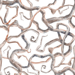 Similar image 22227350