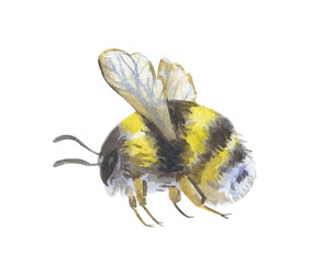 Similar image 22227363