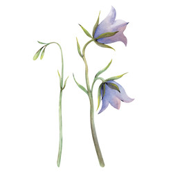 Similar image 22227556