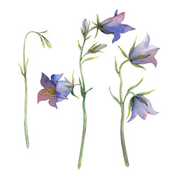 Similar image 22227385