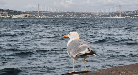 Similar image 22226169