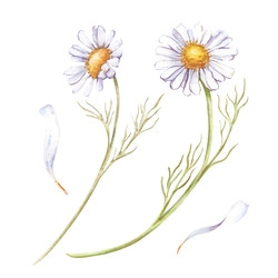 Similar image 22227567