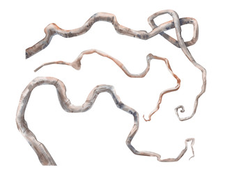 Similar image 22227580