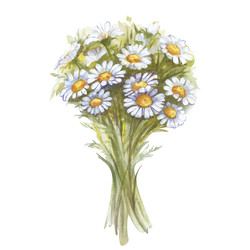 Similar image 22227179