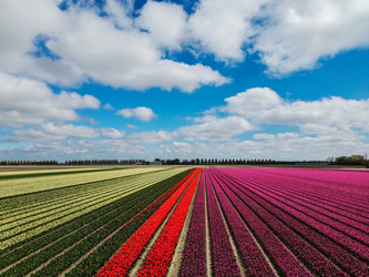 Similar image 22232541