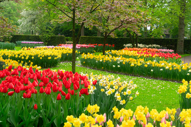 Similar image 22232543