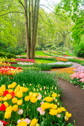 Similar image 22232544