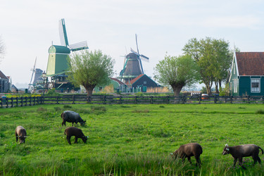 Similar image 22232646