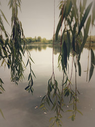 Similar image 22225388