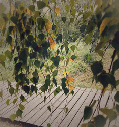 Similar image 22225389