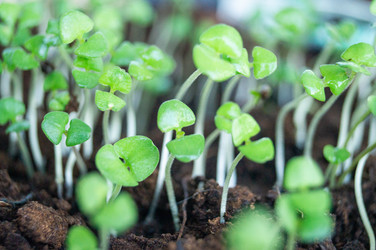 Similar image 22225711