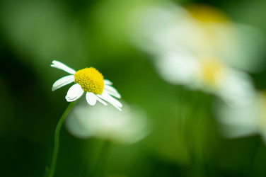 Similar image 22225713