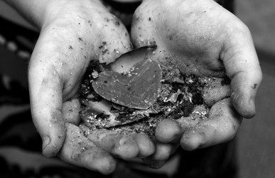 Similar image 22225714