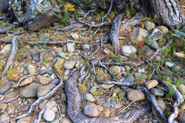 Similar image 22228778