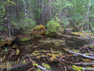 Similar image 22228780