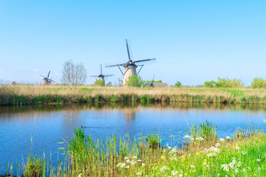 Similar image 22232716