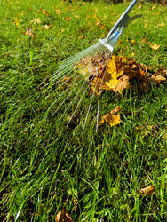 Similar image 22232718