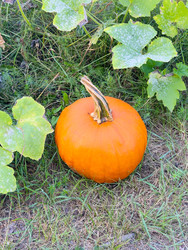 Similar image 22232722