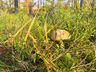 Similar image 22232872