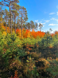 Similar image 22232873