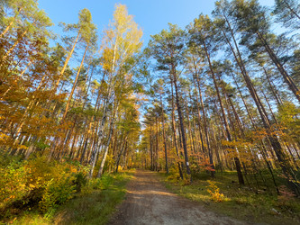 Similar image 22232874