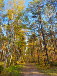 Similar image 22233563