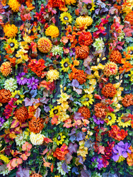 Similar image 22232875