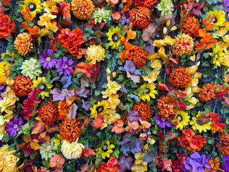 Similar image 22232876