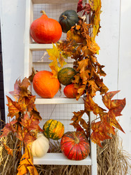 Similar image 22232877