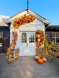 Similar image 22232878